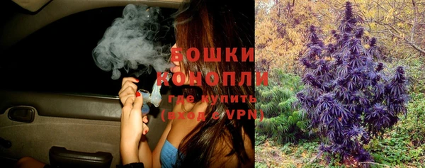 ешки Пестово