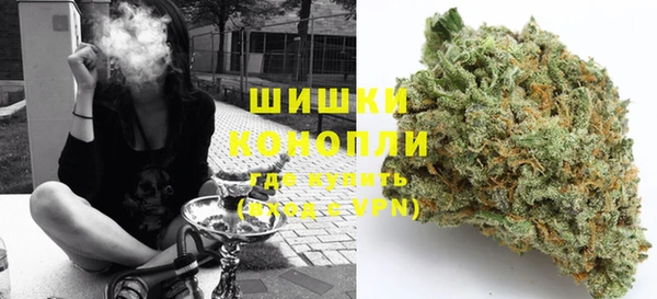 PSILOCYBIN Видное