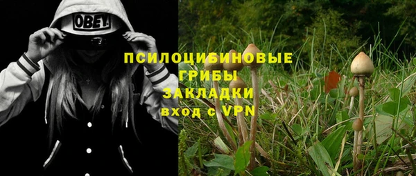 дживик Алексин