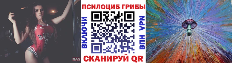 Галлюциногенные грибы Psilocybe  blacksprut ссылка  Нягань  цены наркотик 